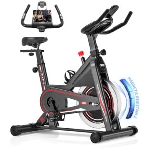 [2024 NEW] DMASUN Heimtrainer Fahrrad mit Magnetischem Widerstand, Ergometer Hometrainer Fahrrad mit LCD-Monitor, Kardio Training Spinning Bike Indoor, Belastbarkeit 160 kg Fitnessbike Zuhause