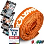 NEOLYMP Lange Fitnessbänder Stoff mit Fitness E-Book - waschbare Resistance Bands, Widerstandsbänder, Gymnastikband, Fitnessband, Trainingsbänder, Klimmzugbänder, Krafttrainingssets (orange)