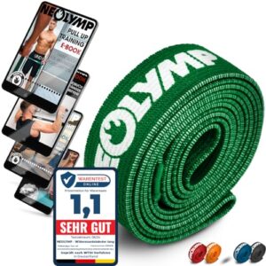 NEOLYMP Lange Fitnessbänder Stoff mit Fitness E-Book - waschbare Resistance Bands, Widerstandsbänder, Gymnastikband, Fitnessband, Trainingsbänder, Klimmzugbänder, Krafttrainingssets (grün)