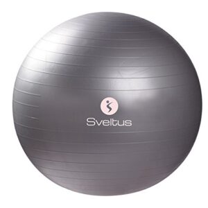 sveltus 340 Gymball 65 cm Erwachsene Unisex Grau