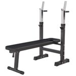 GORILLA SPORTS® Hantelbank mit Ablage - Dip-Station, Verstellbare Höhe und Neigungswinkel, Klappbar, bis 200 kg, Schwarz oder Weiß - Drückerbank, Flachbank, Multifunktion, Trainingsbank