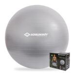 Schildkröt Unisex – Erwachsene træningsbold 65 cm Gymnastikball, Silber, 65cm - für Körpergrößen 161 bis 175cm EU