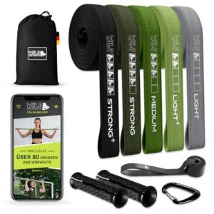 Wild Instincts Fitnessbänder aus Stoff/Widerstandsbänder Lang/Gymnastikband Stoff/Fitnessbänder Lang/Trainingsbänder/Long Resistance Bands/Sportbänder Fitness (5er Set (Inkl. Griffe & Türanker))