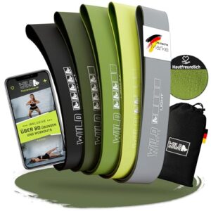 Wild Instincts Loop Bands Set aus Stoff - Mini Bands Stoff für Krafttraining - Fitnessbänder Stoff - Mini Resistance Band - Miniband Fitness - Stretch Band Fitness mit WebApp (Loop Bands - 5er Set)