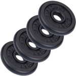 ScSPORTS® Hantelscheiben - Set, 2,5/5/7,5/10kg, Ø 30/31 mm, Gusseisen - Gewichtsscheiben, Hantelscheiben-Set, Hantelgewichte, Fitness Scheiben, Gewichte für Hantel (5 KG (4 x 1.25 kg))