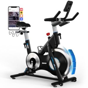 [2026 MODELL] Heimtrainer Fahrrad, DMASUN Ergometer Hometrainer Fahrrad mit Verstellbarem Magnetwiderstand, APP-Verbindung, Schwererem Schwungrad, LCD-Monitor, Höhenverstellbar, Fitnessbike Bis 180KG